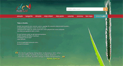 Desktop Screenshot of idesanat.com